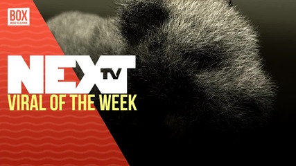 NEXTTV 029: Viral of the Week