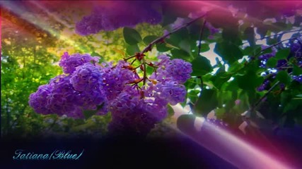 Ernesto Cortazar - Just for you!
