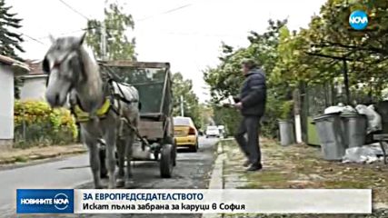 Искат пълна забрана за каруци в София