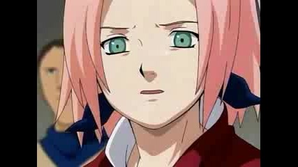 Team 7