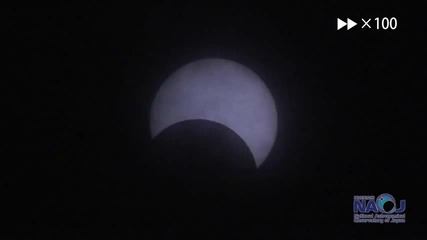 Video 97359