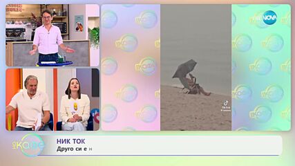 НИК ТОК: Най-любопитното от социалните мрежи - „На кафе“ (16.10.2024)