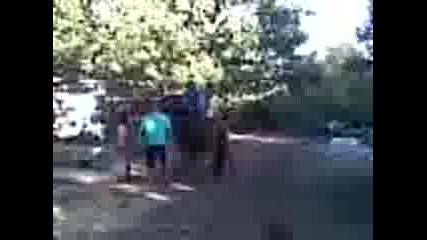 Обяздване на кон в Ропот