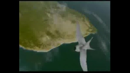 Ill Fly Away-Allison Krauss