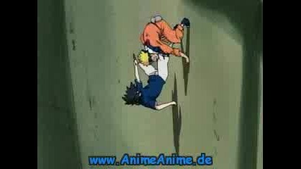 Naruto Vs Sasuke (animal)