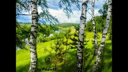 Березы...березы...(maksim Mrvica)