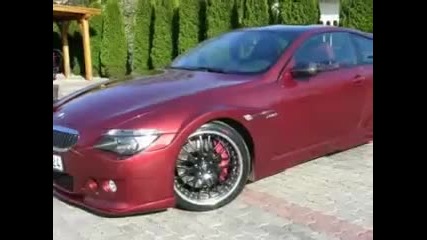 Bmw M6 Hamman