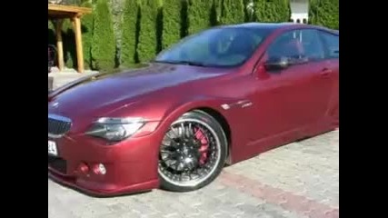 Bmw M6 Hamman 