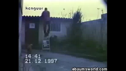 Весела Компилация