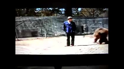 fatal bear attack (sd)