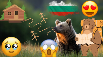 Мечка стана TikTok звезда в  България!🐻🌟