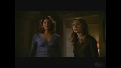 Buffy The Vampire Slayer - 5 Season Nutshell