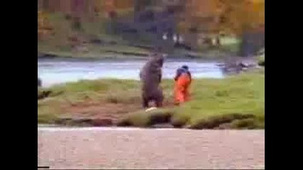 Бой с мечка (смях) 