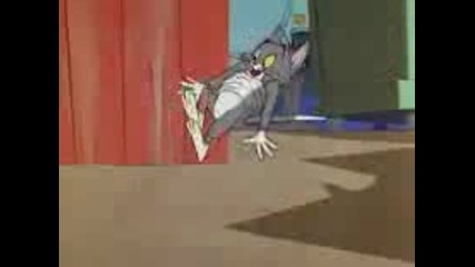 Tom and Jerry Much ado about mousing