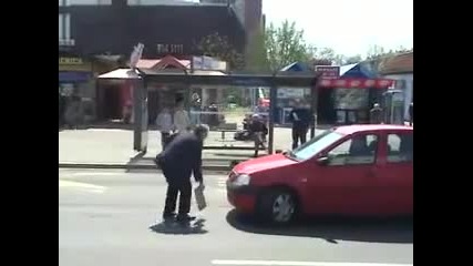 Dogs vs. Cars (episode 2)
