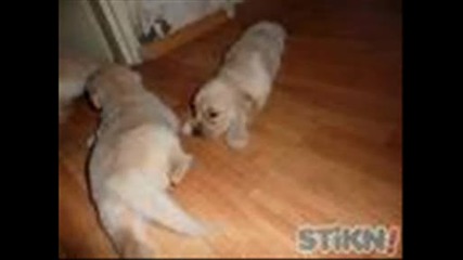 Супер0001.wmv