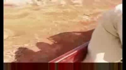 Бебе слон спасяване