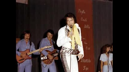 Elvis Presley - Too Much Monkey Business.flv