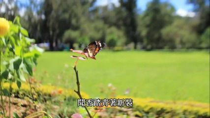 Spring to the World
