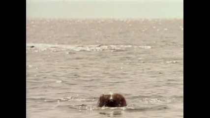 Sandra - One More Night