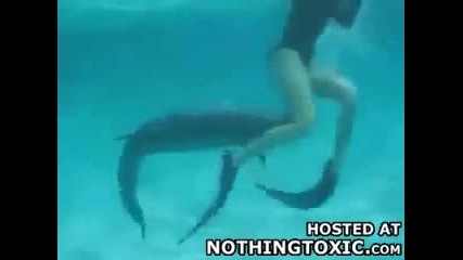 Възбуден делфин опитва да изнасили жена 