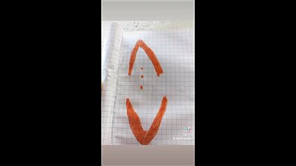 Vid_61360618_010306_907.mp4