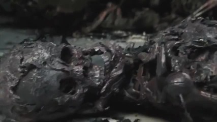 The Walking Dead 2x06 - Secrets Promo
