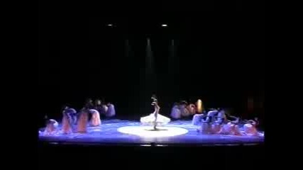 Spirit of Peacock - Yang Liping