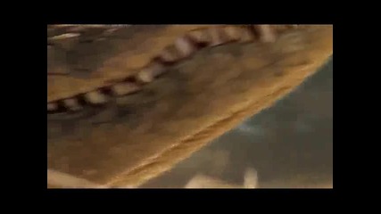 Worlds Deadliest Animals Africa