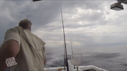 Скоклива акула стресна рибари край Калифорния