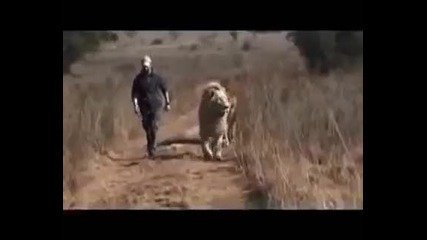 Човекът и Дивото