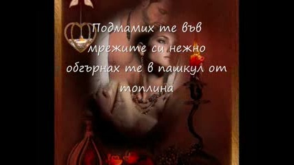 Za6to li tolkoz te obi4am