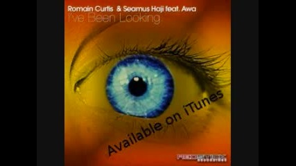 Romain Curtis & Seamus Haji ft Awa - Ive Been Looking 