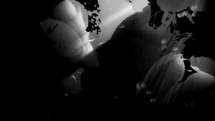 [ Hq ] Kara No Kyoukai // Bloody Sin
