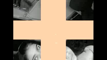 merito_puma