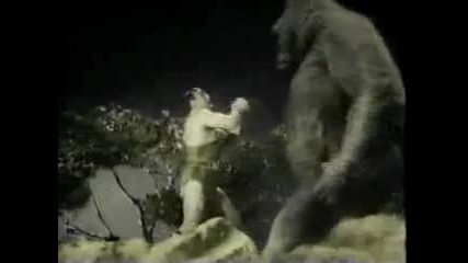 Mighty Joe Young_1949