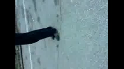 Баскетболни Прота 8