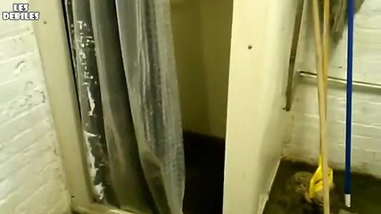 Наводнение в тоалетната Смях