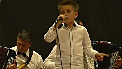 Sandi Harbas - Volim Harmoniku Sevdah Fest Bihac 2016