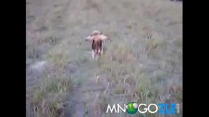 Някой ше ми скочи ли?