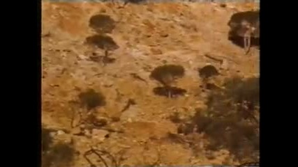 John Paul Young - Soldier Of Fortune, 1983