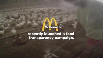 скрита камера показва гнусната истина за Chicken Mcnuggets Mcdonalds