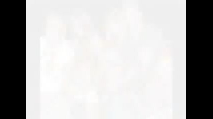 rbd 