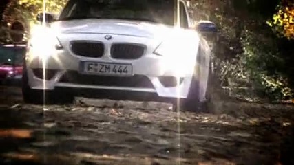 Bmw Z4 M - Coupe (format67)