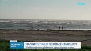 В Тайван спряха движението заради миграция на раци