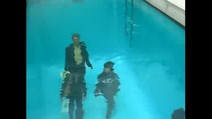 Amazing Japanese Fake Pool 