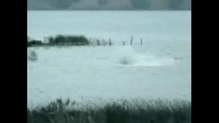 От какво го е страх чудовището от лохнес 