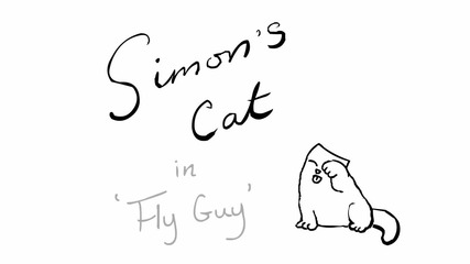Котката на Саймън 'fly Guy'