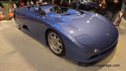 De Tomaso Guara Barchetta