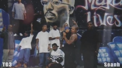 (new 2014) 2pac - Dont Make Enemies With Me Part Ii (seanh Remix)